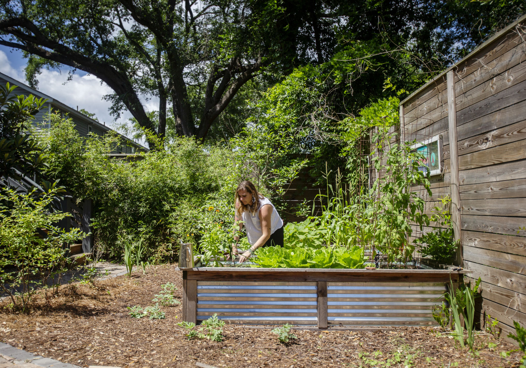 PlantHome_3.jpg